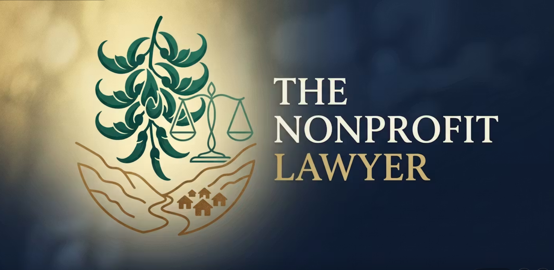 The Nonprofit Lawyer